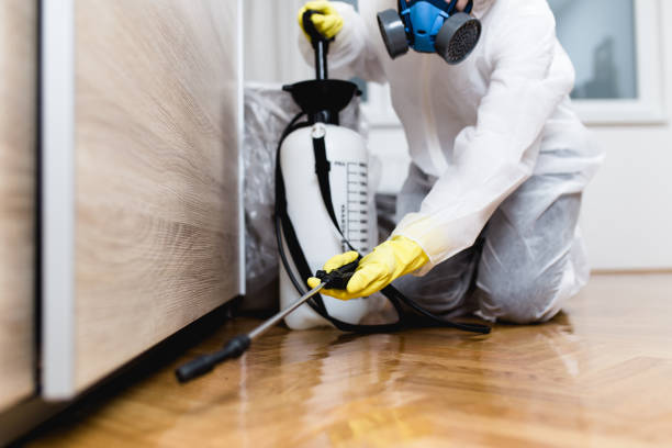 Best Cockroach Control Services  in South Fulton, GA