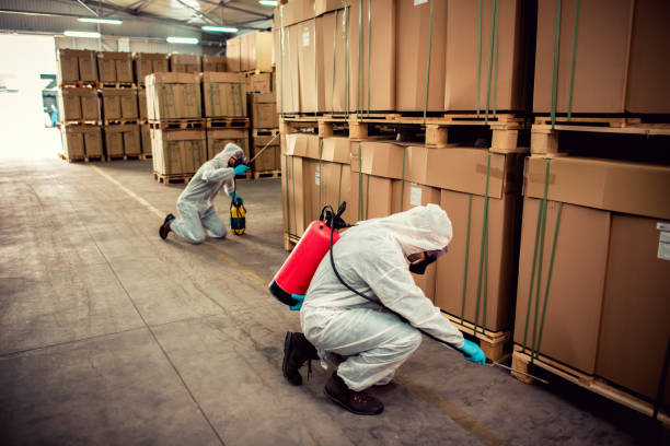 Best Flea Control Services  in South Fulton, GA