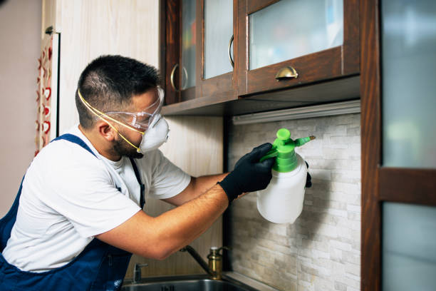 Best Commercial Pest Control Services  in South Fulton, GA