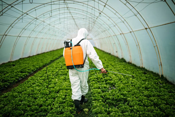 Best Best Pest Control Companies  in South Fulton, GA