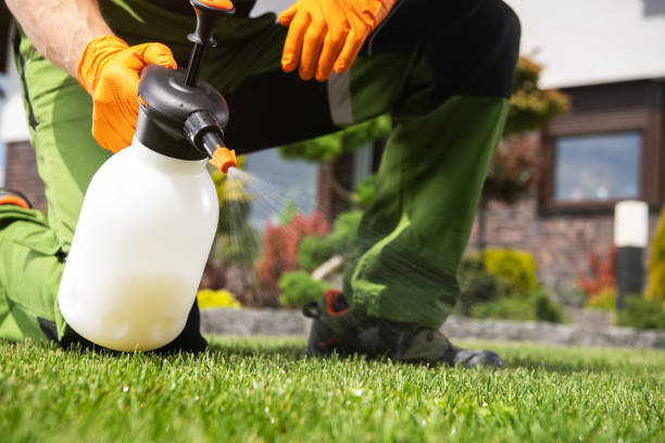 Best Pest Inspection Near Me  in South Fulton, GA