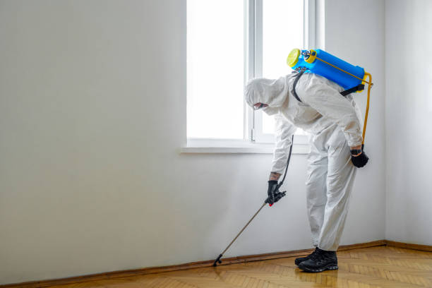 Best Wildlife Control Services  in South Fulton, GA