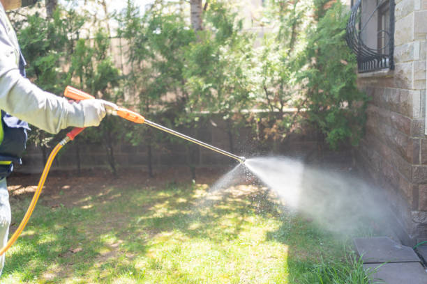Best Affordable Pest Control Services  in South Fulton, GA