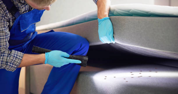 Best Pest Control Treatment  in South Fulton, GA