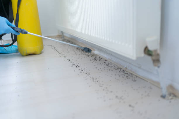 Best Best Pest Control Companies  in South Fulton, GA