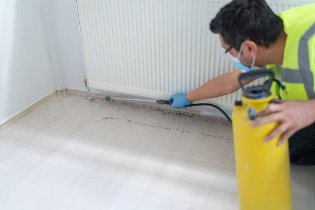 Best Mosquito Control Services  in South Fulton, GA