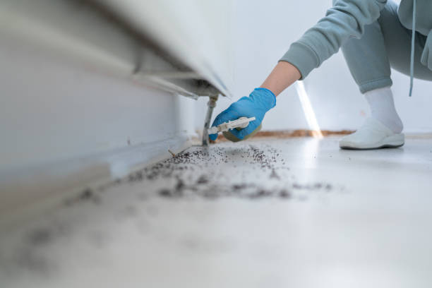 Best Pest Prevention Services  in South Fulton, GA