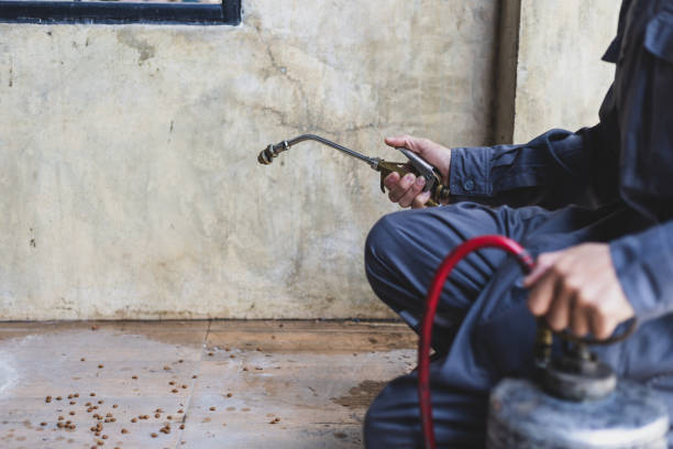 Reliable South Fulton, GA Pest Control Solutions